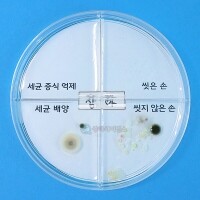 [로봇사이언스몰] SA 세균 배양과 증식 억제 실험하기(4인 세트)